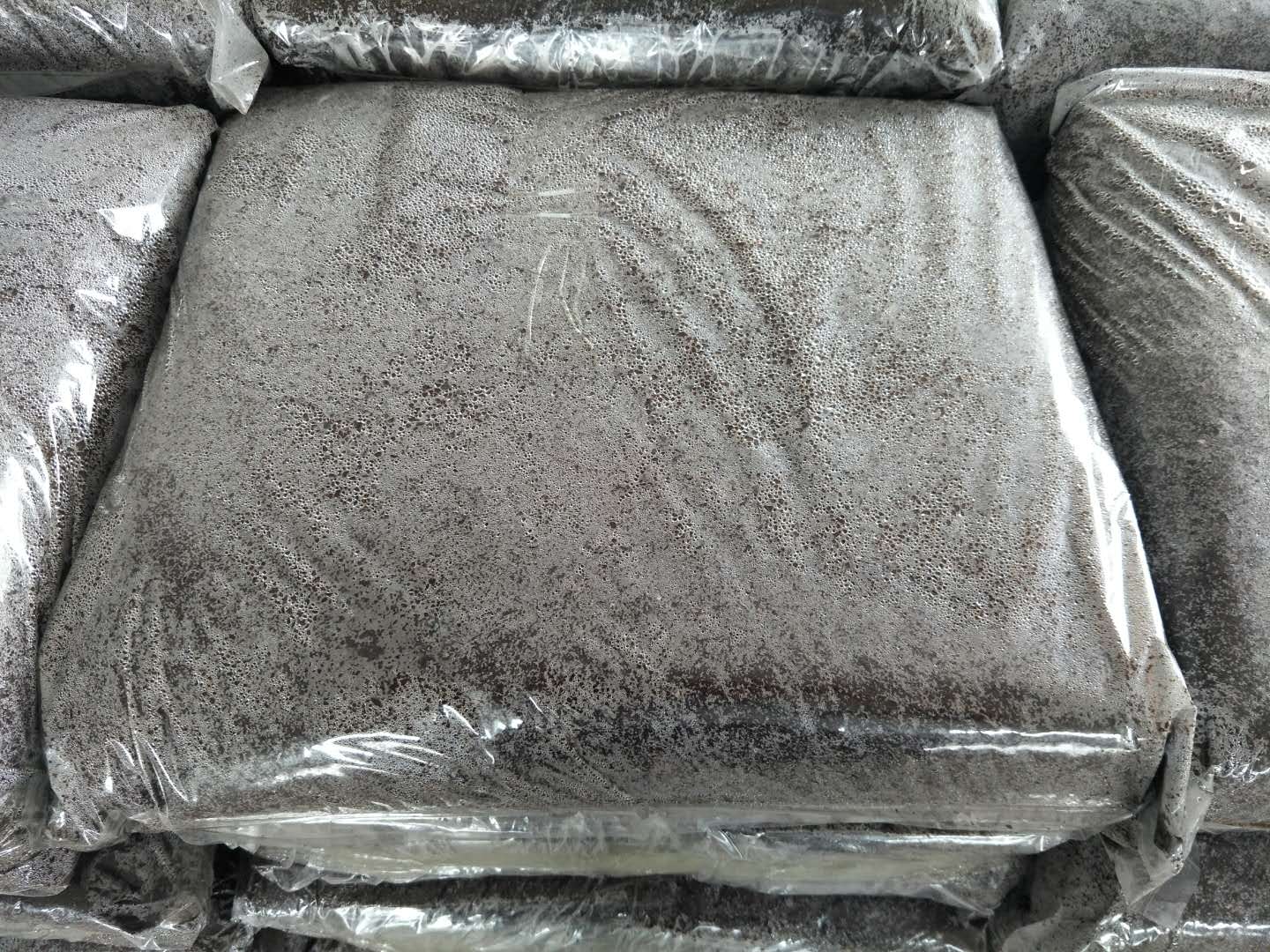 Mushroom media project